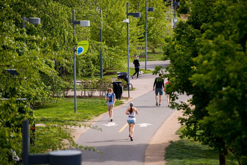 Joggers run down a paved path between trees.