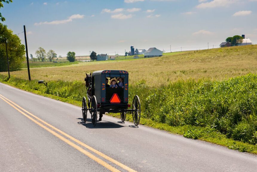 A horse and buggy carrying multiple people appears traveling on a road. The double yellow lines run down the middle of the street. The horse and buggy are off to the right of the lines. To the right, there is a sprawling open field with buildings shown off in the distance.