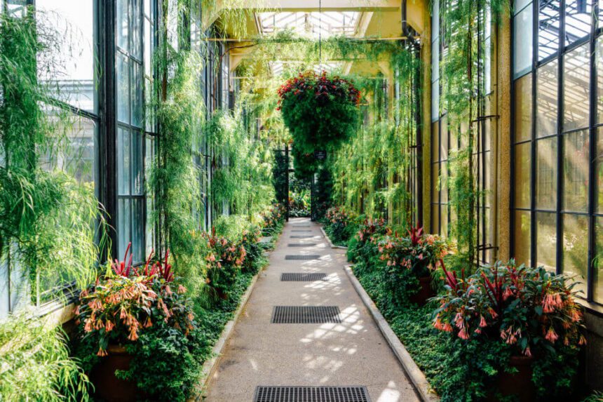 An indoor garden is filled with lush green trees and plants lining a walkway. Windows on the sides and the ceiling are letting in natural light. A large floral arrangement hangs from the ceiling.