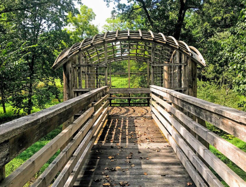 A wooden bridge leads to a wooden bench covered by a wooden gazebo. Lush, green trees are shown behind. Brown leaves are scattered on the bridge.