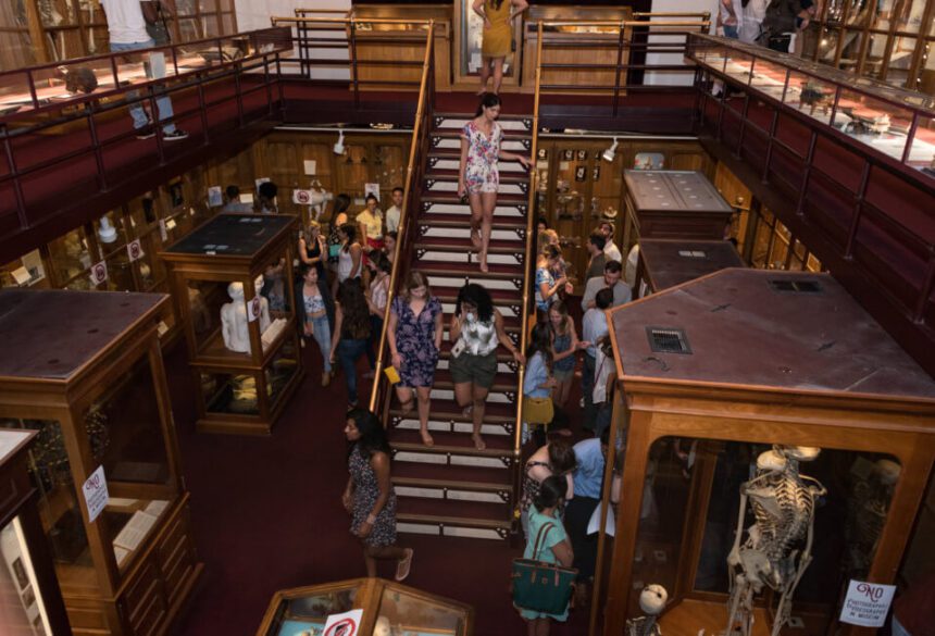 Young adults are shown inside of the Mutter Museum. Three young women are shown walking down a staircase. One woman stands at the top of the stairs. There is a group of individuals to the left by a glass case. There is an even larger group of young adults standing to the right looking at more glass cases holding specimens and artifacts.