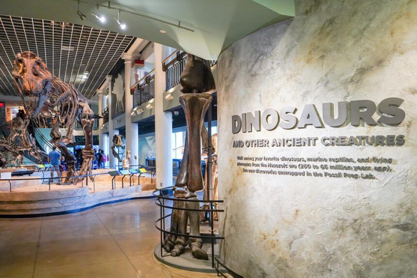 A wall off to the right reads Dinosaurs and other ancient creatures. To the left, there is a man standing looking up at a massive Tyrannosaurus rex skeleton. Other artifacts and dinosaur bones are on display in the space.