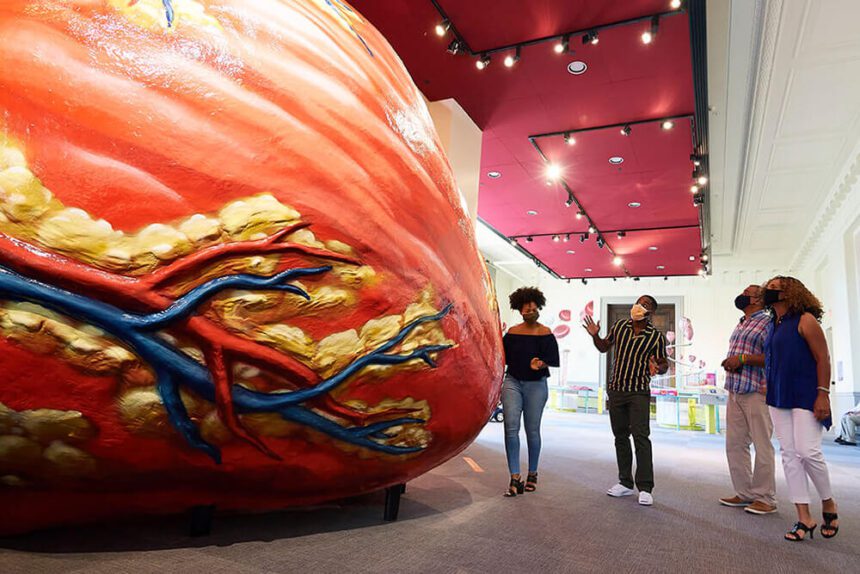 A massive display designed to look like the human heart is off to the left. Four individuals are shown off to the right looking at it. Bright lights shine overhead. Other displays of hearts are shown behind them throughout the exhibit space.