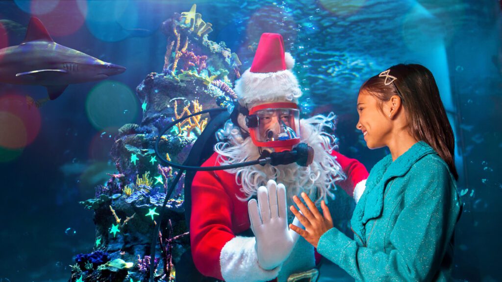 Fish tank inside of an aquarium with Scuba Santa appearing on the other side of the glass underwater putting his hand up to the glass to interact with a young girl standing on the other side, peering into the tank. A shark appears over Santa's shoulder to the left
