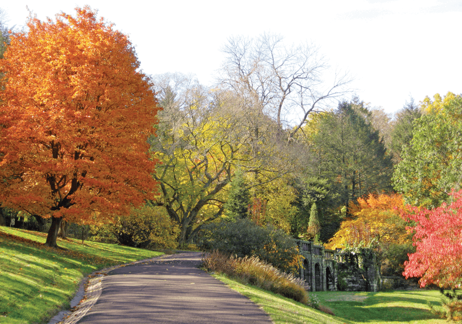 A walkway is shown leading toward an array of bright colorful trees. The fall foliage is breathtaking. There is a large tree with bright orange leaves to the left. There are bright green trees next to it. A bridge is shown off to the right near a yellow tree and a pinkish red tree.