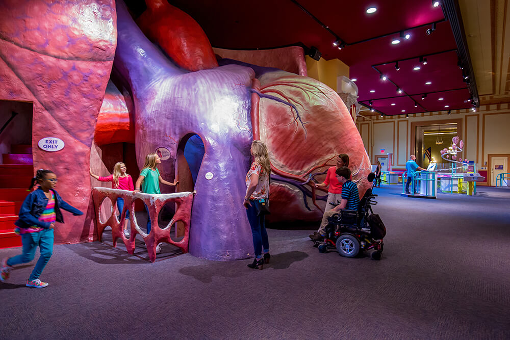 A group of children are shown entering an exhibit in a museum. The exhibit is designed to look like a giant human heart. There is an entry way off to the left. There are more heart sculptures in the distance beyond the massive heart. A chaperone is shown supervising the children.