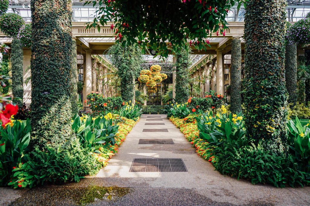 Lush greenery and plants surround a walkway in an indoor space at Longwood Gardens.