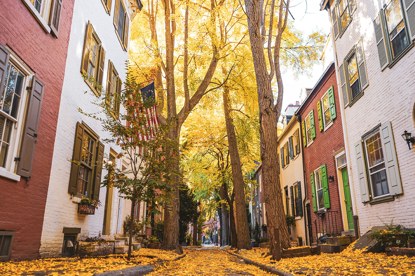 Tree lined street in Philadelphia covered in orange fall leaves