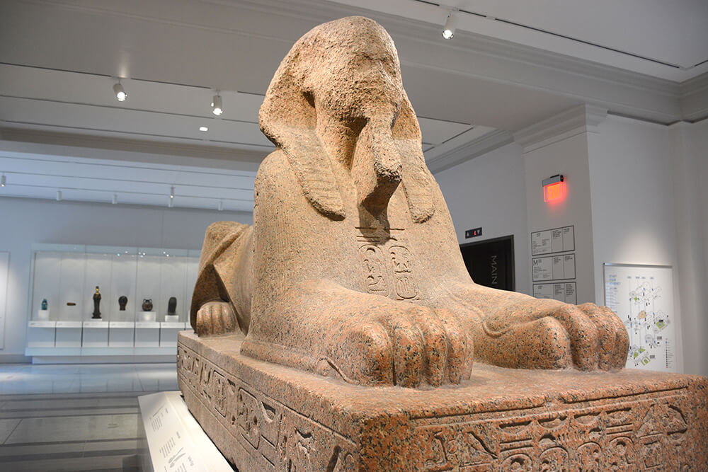 A large sphinx is shown in the middle of the room. The sphinx is a sandy beige color. Behind it, there is a glass case along a wall in the back. It appears to be holding multiple artifacts.