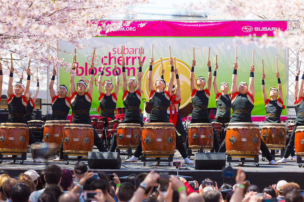 More than a dozen men dressed in black perform on a stage. Large drums are in front of them. The men have their arms in the air with their hands holding drumsticks. Behind them, a large green and pink banner reads Subaru Cherry Blossom Festival.