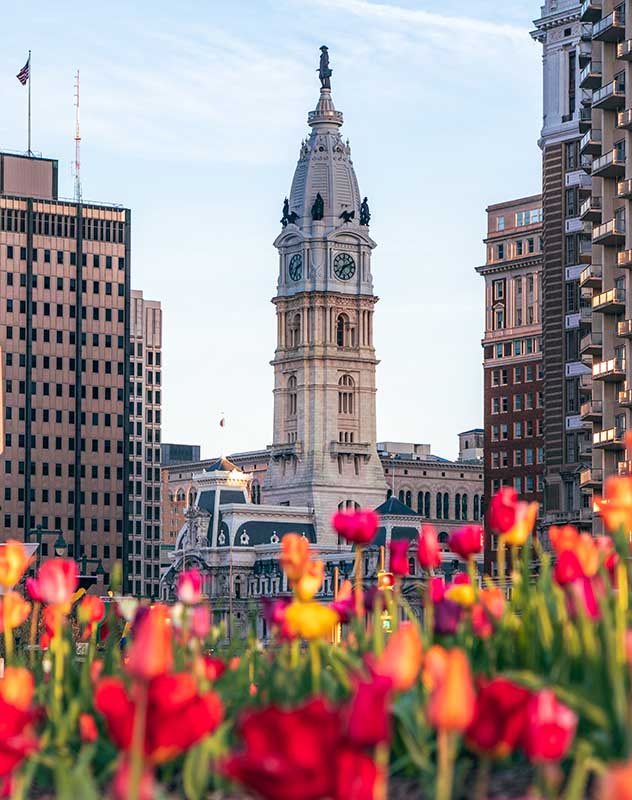 Bright pink and yellow tulips with Philadelphia's city hall in the background.