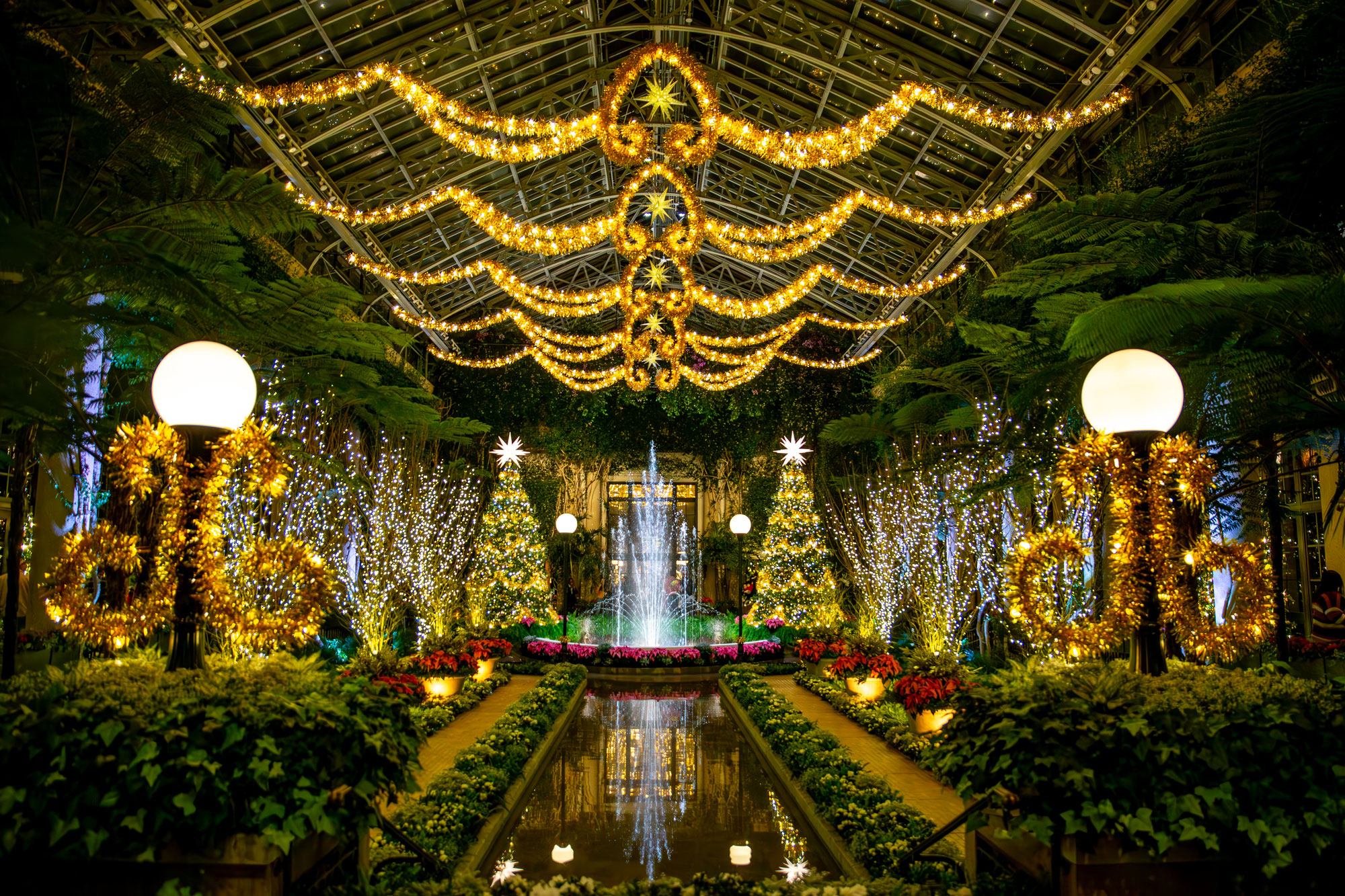 A elaborated decorated room full of bushes, flowers, and christmas christmas trees. Everything is lit with twinkling lights.