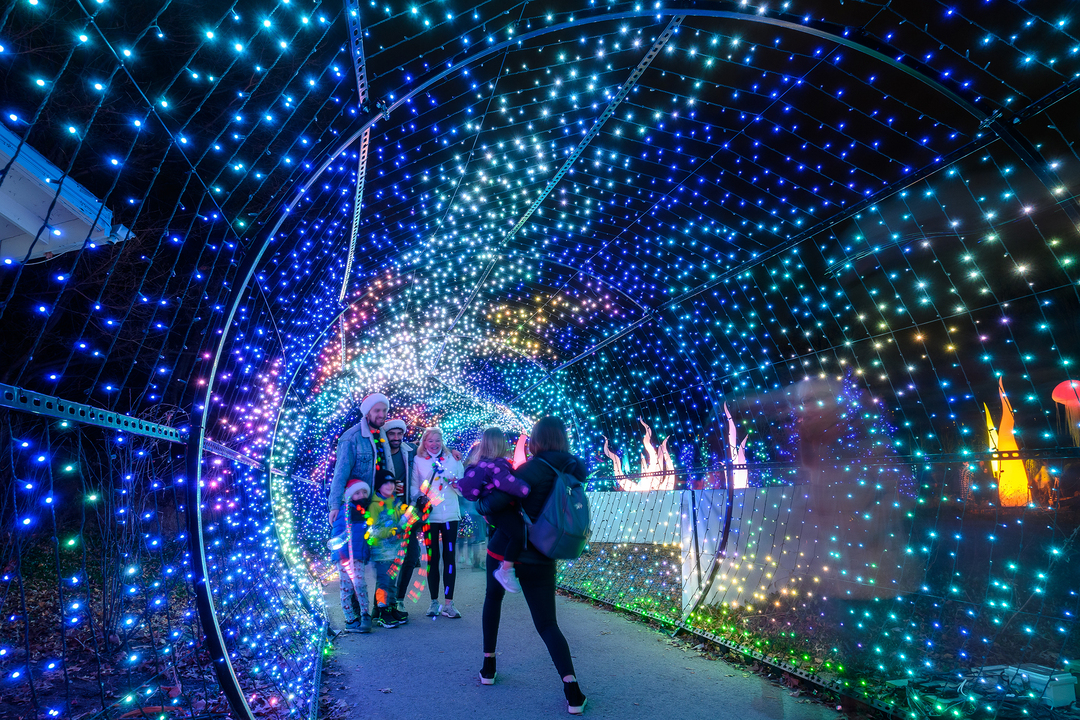 A family walks through a brightly lit tunnel at LumiNature at the Philadelphia Zoo