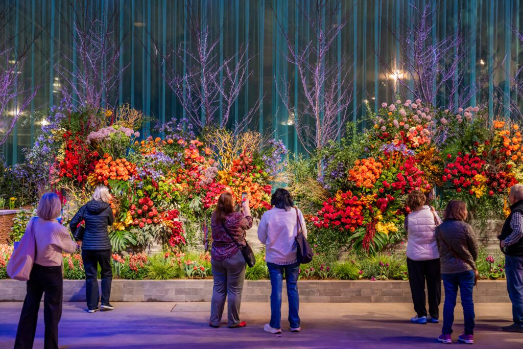 A wide shot of two people admiring a display at the 2025 PHS Flower Show.