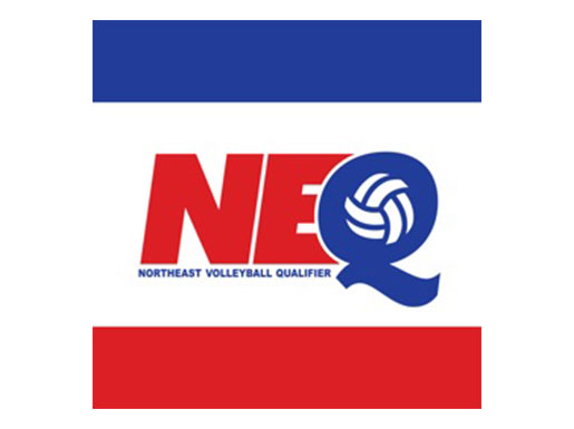 NEQ logo