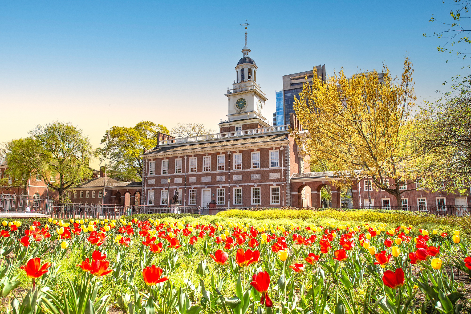 Independence Hall sits behind a garden of tulips.