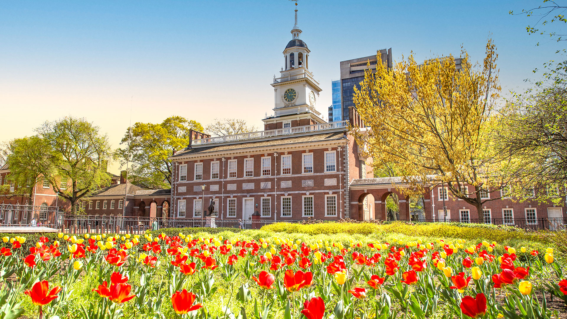 Independence Hall with tulips planted in front across the lawn.